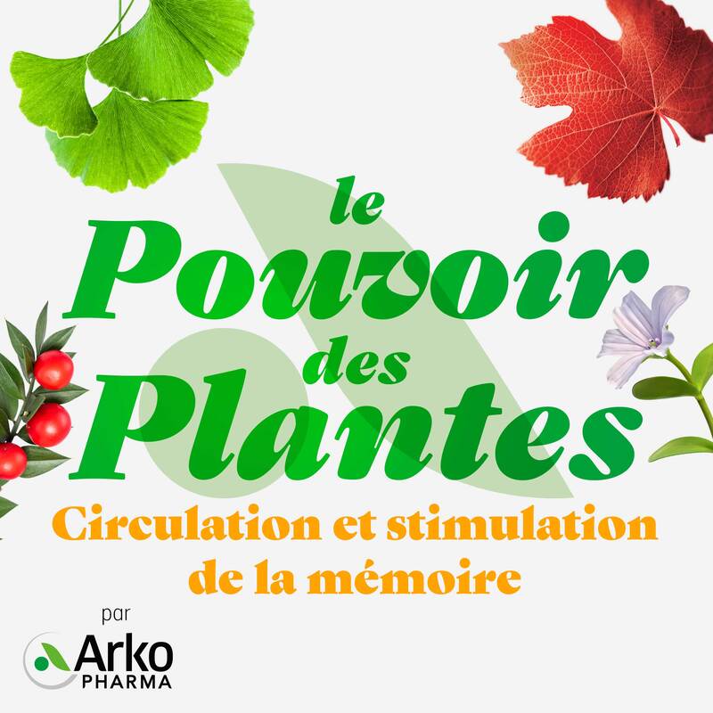 Circulation et stimulation de la mémoire