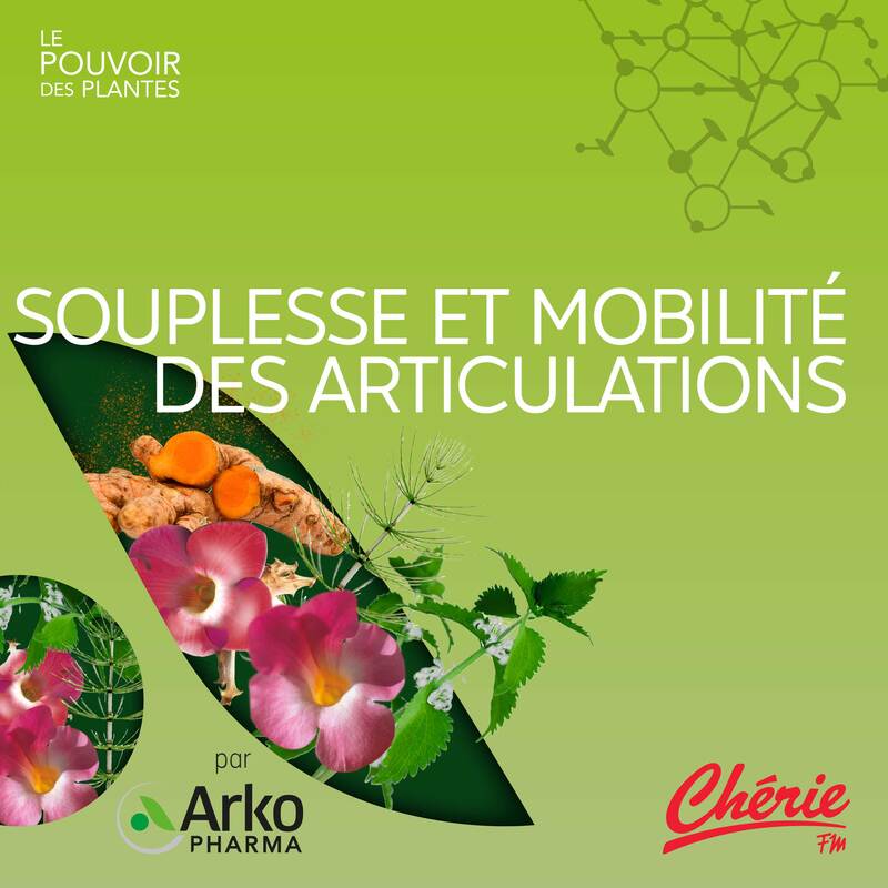 Rediffusion : Mobilité et souplesse des articulations