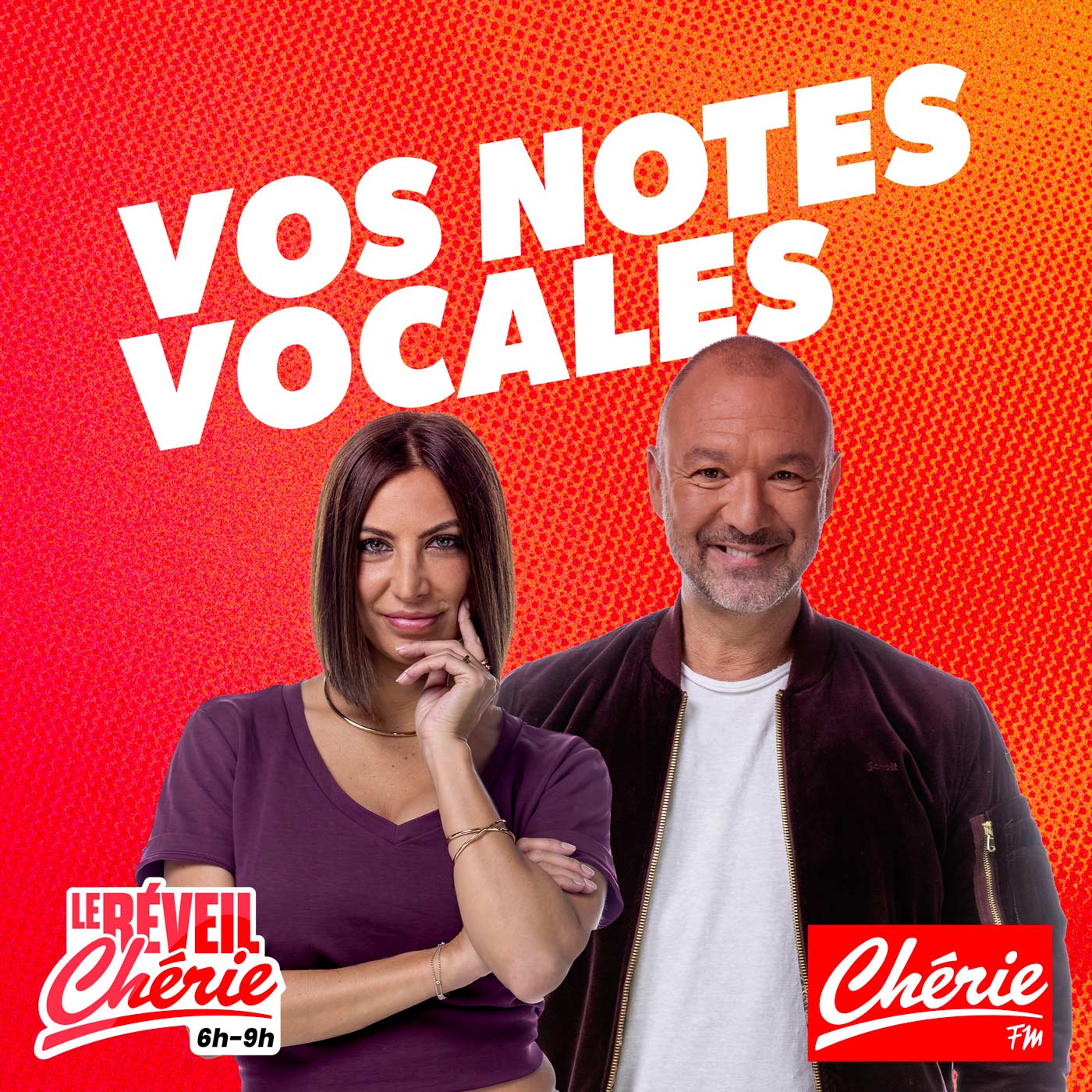 Vos notes vocales