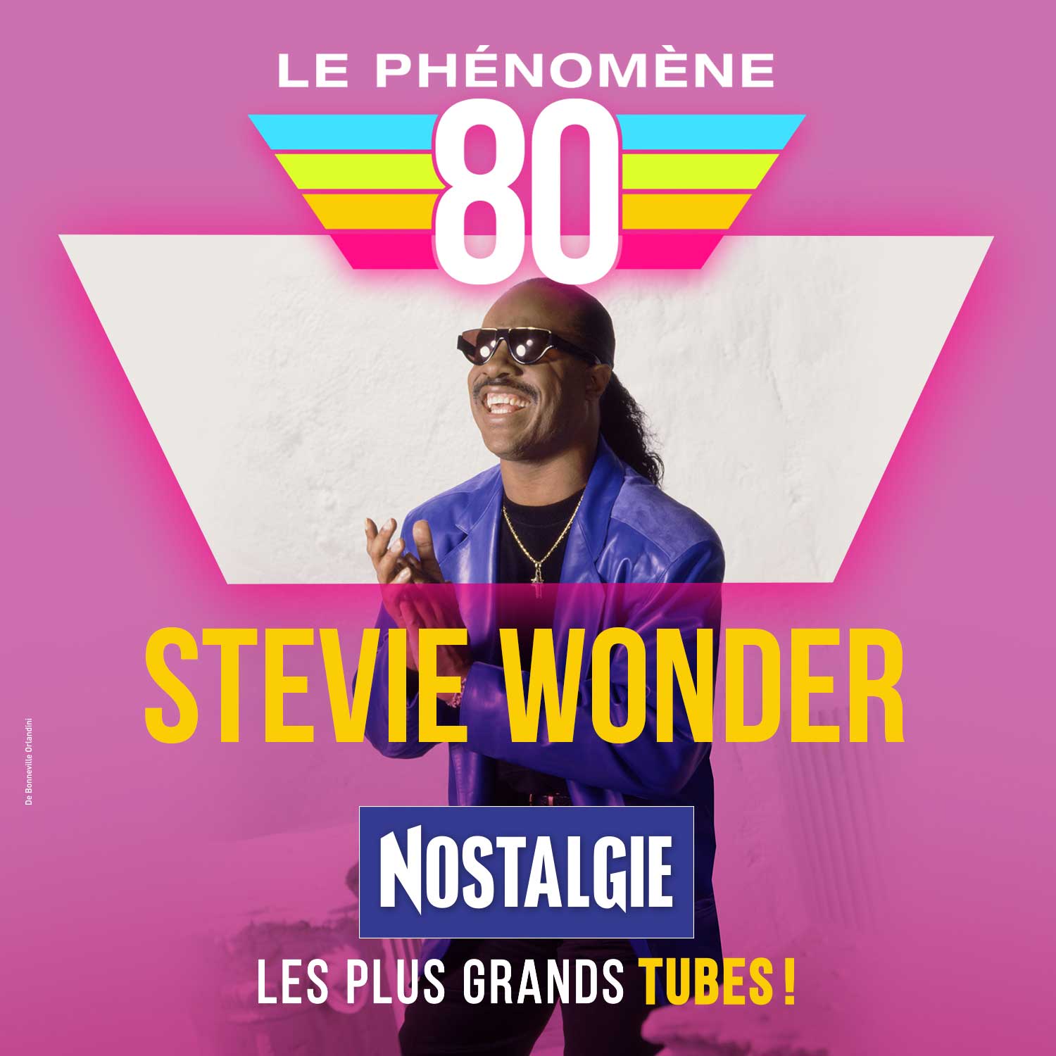 Le phénomène 80... Stevie Wonder
